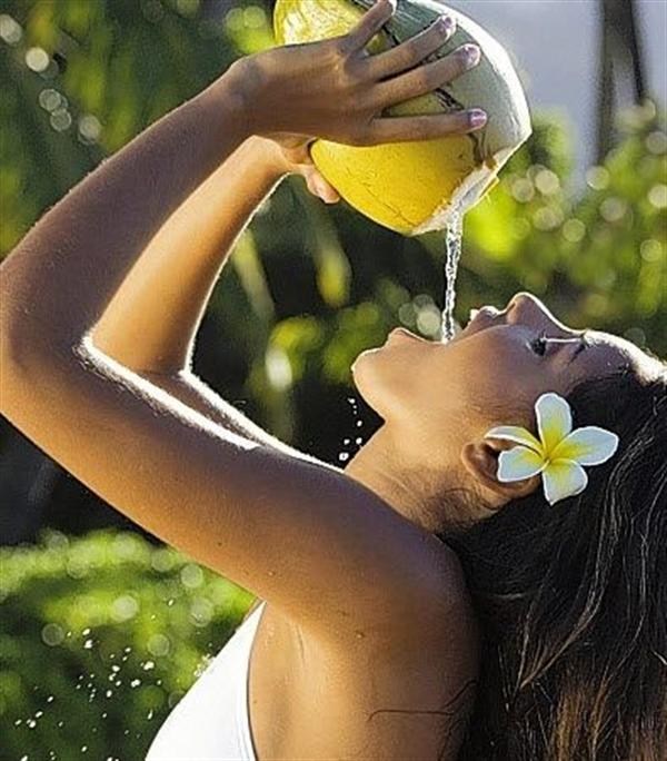 Sức khỏe gia đ&igrave;nh tốt nhờ nguồn 13WIN là nhà cái uy tín top đầu Châu Á trong nước dừa