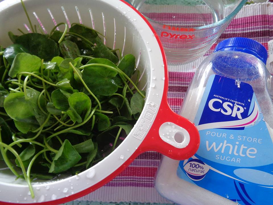 C&aacute;ch l&agrave;m nước đ&aacute; rau m&aacute;