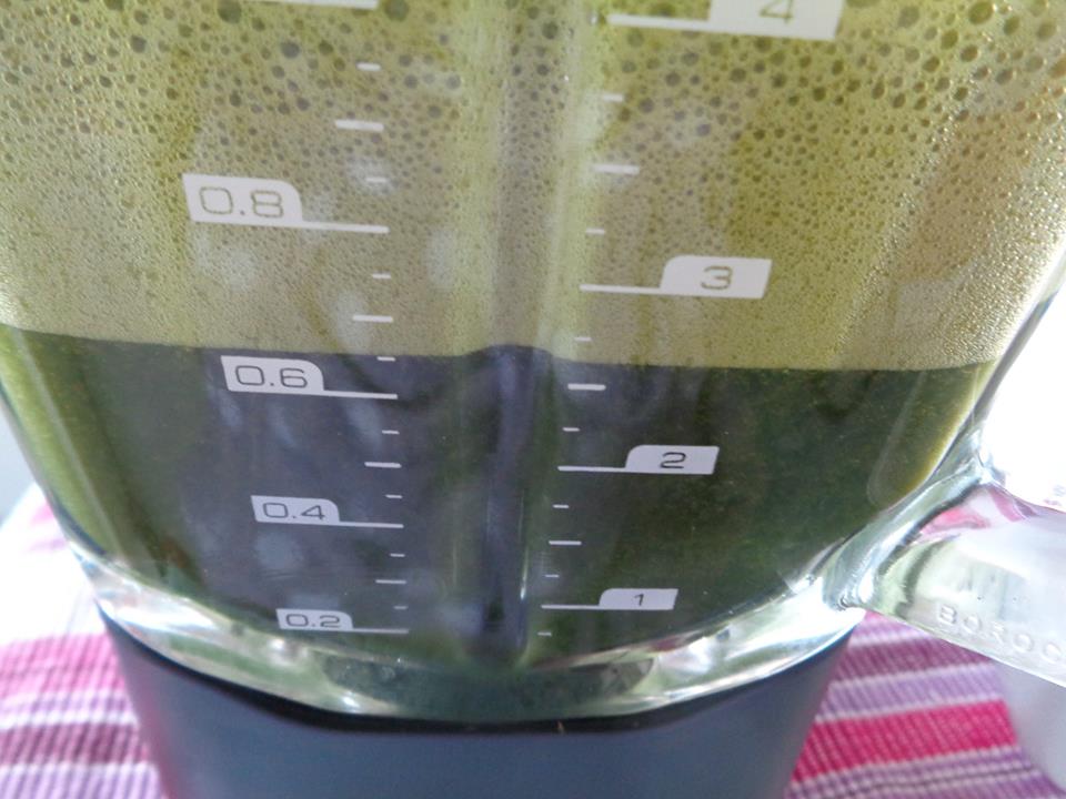 C&aacute;ch l&agrave;m nước đ&aacute; rau m&aacute;