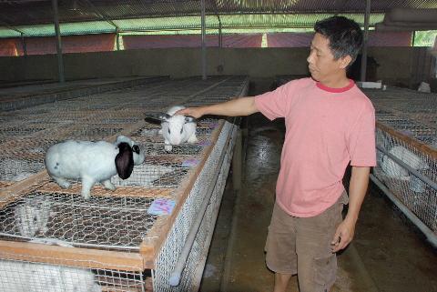 Kỹ thuật nu&ocirc;i thỏ sinh sản cho năng suất cao