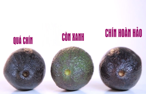 Cách chọn bơ ngon có thể dựa vào hình dáng, vỏ và cuống quả. Ảnh sưu tầm 