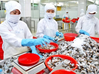 Năng suất chất lượng