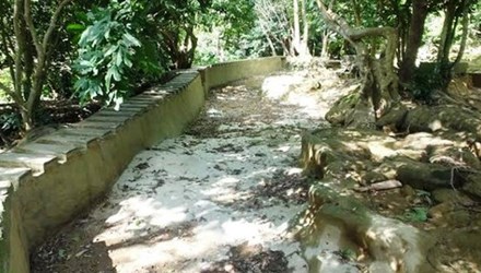 con g&aacute;i cảnh s&aacute;t cơ động đ&aacute;nh nhau