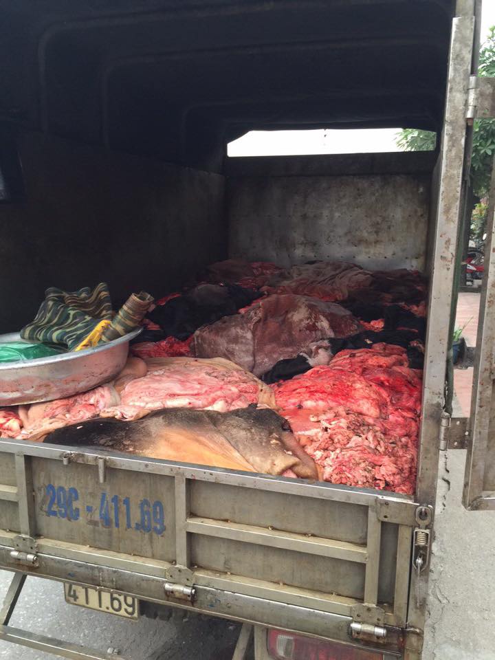 da, nội tạng tr&acirc;u b&ograve; thối