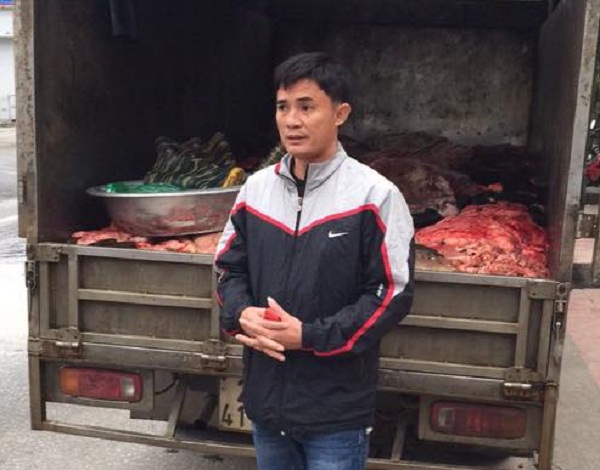 da, nội tạng tr&acirc;u b&ograve; thối