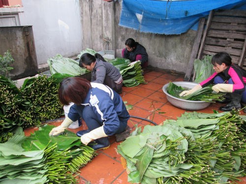 Bảo quản b&aacute;nh chưng cần được ch&uacute; &yacute; từ những c&ocirc;ng đoạn đầu ti&ecirc;n