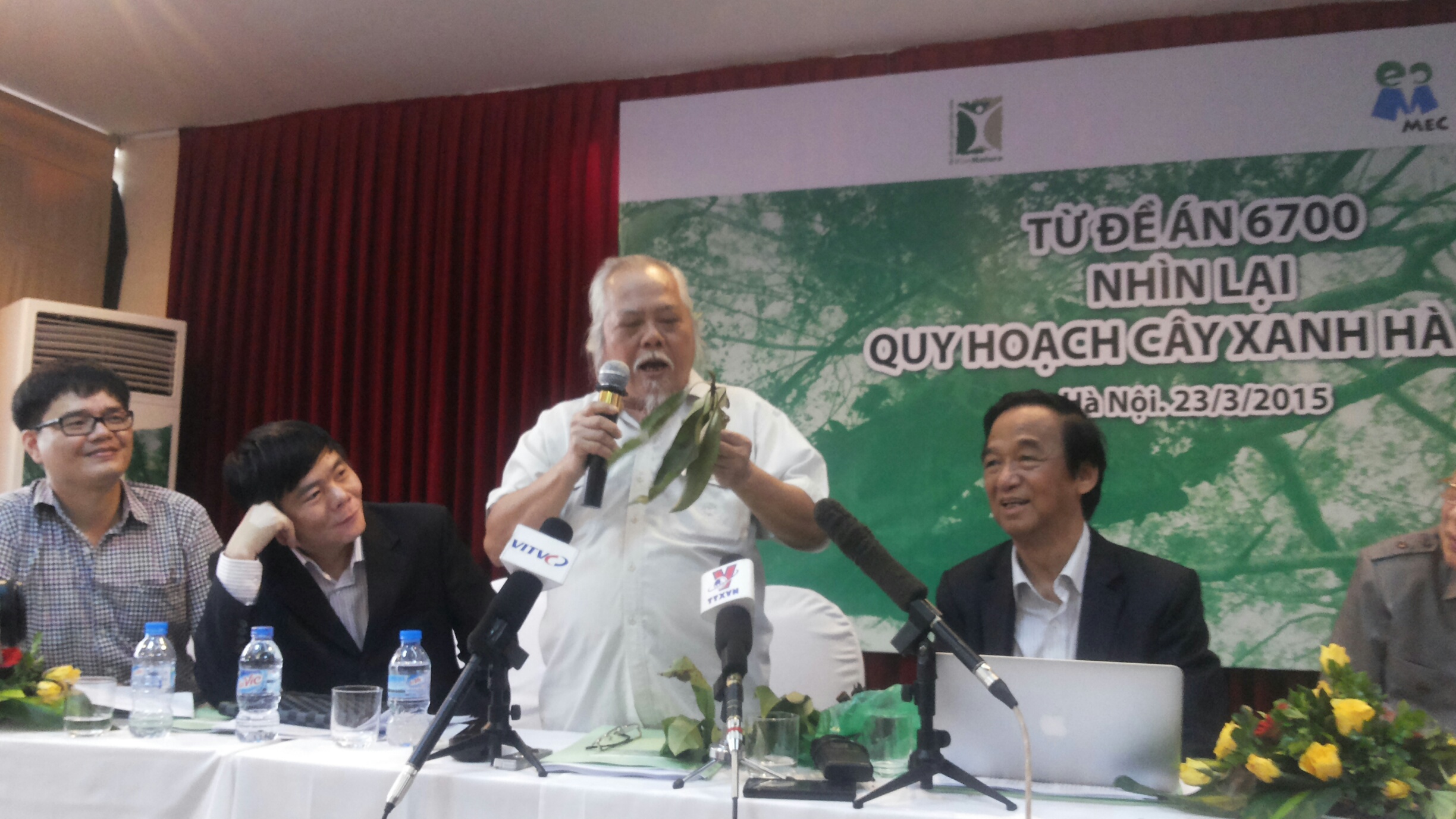 Đốn hạ c&acirc;y xanh: &lsquo;H&agrave; Nội nhanh như m&igrave; t&ocirc;m&rsquo;