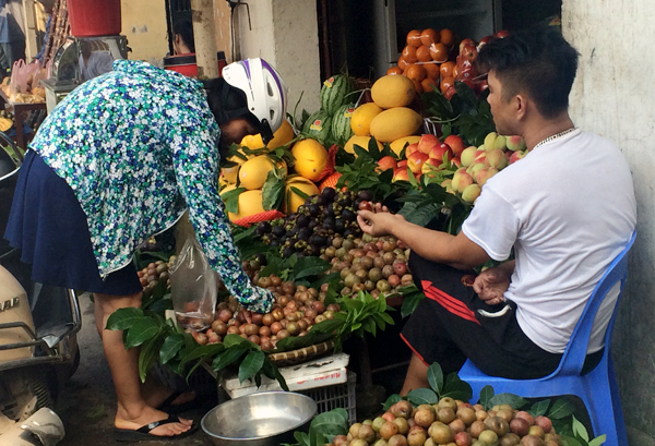 Mận Trung Quốc v&agrave;o Việt Nam