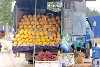 Dưa lưới v&agrave;ng Trung Quốc bị bơm thuốc