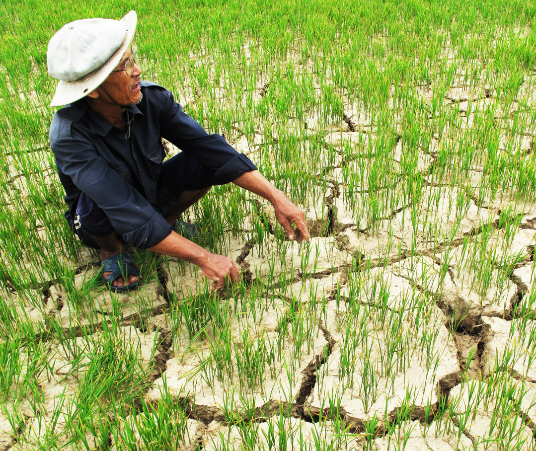 El Nino khiến hạn h&aacute;n gia tăng