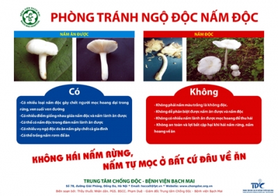 Ph&ograve;ng tr&aacute;nh ngộ độc nấm độc