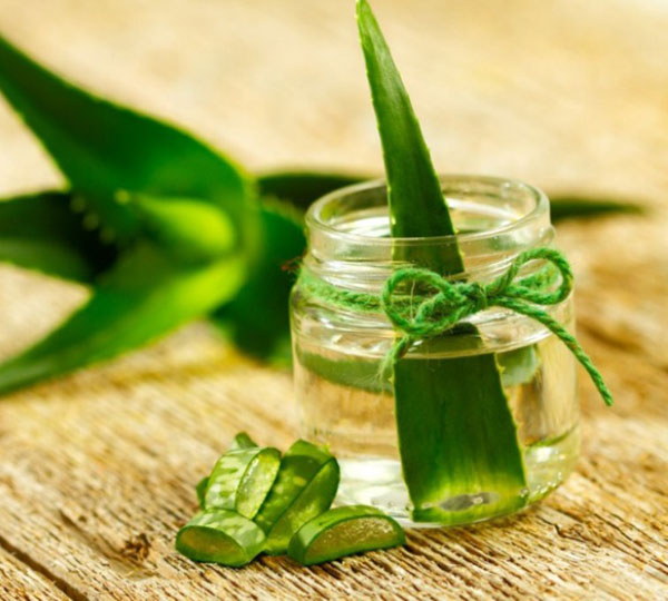 Nha đam c&oacute; t&aacute;c dụng tuyệt vời trong việc điều trị mụn trứng c&aacute;