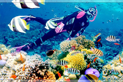Sự ra đời của khu giải trí phức hợp Vinpearl Land và Vườn thú Vinpearl Safari khiến Đảo Ngọc Phú Quốc xứng đáng là điểm du lịch, nghỉ dưỡng hàng đầu của Việt Nam.