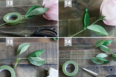 D&aacute;n c&aacute;c c&aacute;nh hoa lớp ngo&agrave;i c&ugrave;ng của b&ocirc;ng hoa v&agrave; chỉnh sửa cho đẹp