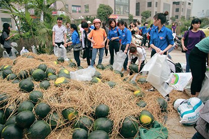 Bộ C&ocirc;ng Thương ra tay mua 14 tấn dưa hấu gi&uacute;p n&ocirc;ng d&acirc;n
