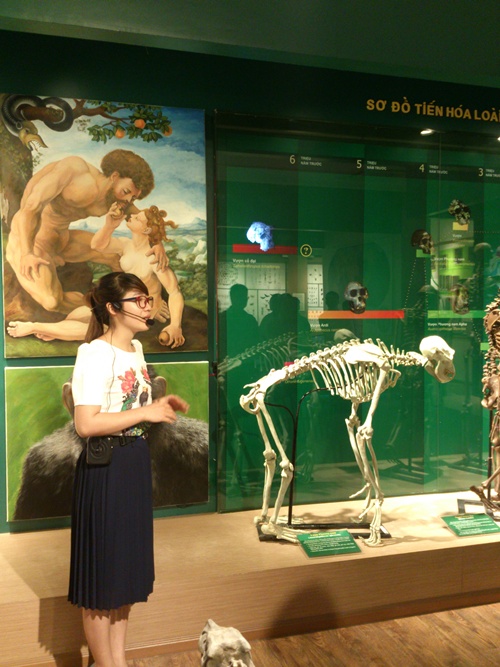 Bảo t&agrave;ng Thi&ecirc;n nhi&ecirc;n Việt Nam mở cửa cả thứ bảy v&agrave; chủ nhật