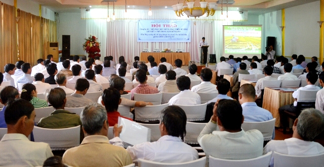 c&aacute;nh đồng mẫu lớn