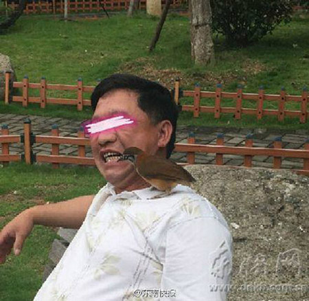 Cảnh đại gia 'd&ugrave;ng chim xỉa răng' g&acirc;y x&ocirc;n xao