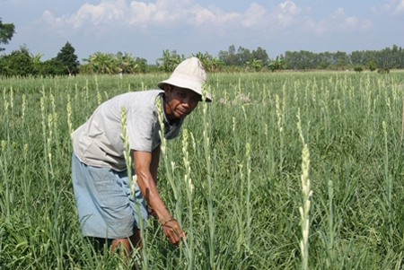 Tưới nước v&agrave; b&oacute;n ph&acirc;n l&agrave; kh&acirc;u quan trọng trong kỹ thuật trồng c&acirc;y ảnh hưởng tới chất lượng hoa