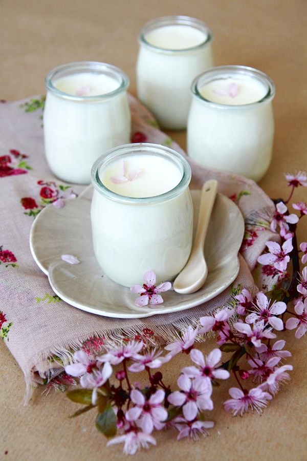  C&aacute;ch l&agrave;m sữa chua đậu n&agrave;nh ngon