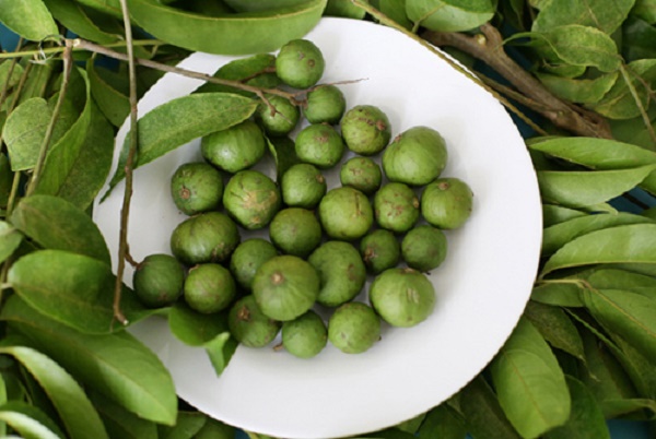 C&aacute;ch ng&acirc;m sấu mắm 