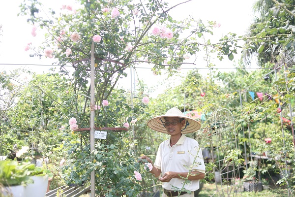 L&atilde;o n&ocirc;ng gần 60 tuổi, sở hữu vườn hồng 2 vạn gốc tại H&agrave; Nội