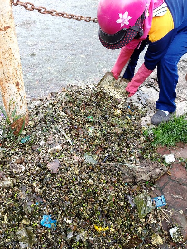 Hồ Văn Qu&aacute;n