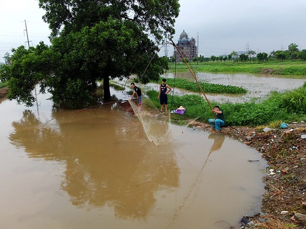 H&agrave; Nội: Người d&acirc;n rủ nhau bắt c&aacute; sau mưa b&atilde;o