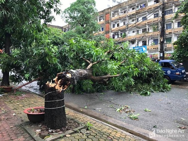  bão số 2 