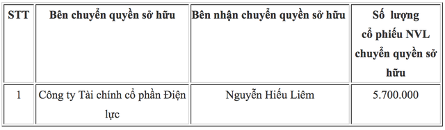 dai-gia-chi-gan-500-ty-dong-de-mua-57-trieu-co-phieu-novaland-la-ai