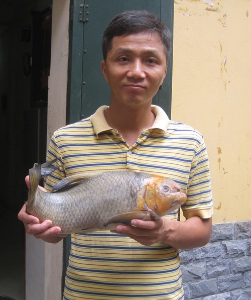 mua-ca-anh-vu-dau-vang-bieu-tet-chi-hang-chuc-trieu-dong-dinh-phai-ca-dom