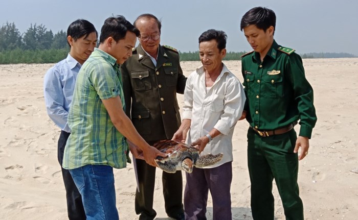 thua-thien-hue-rua-bien-quy-hiem-trong-sach-do-mac-vao-ngu-cu