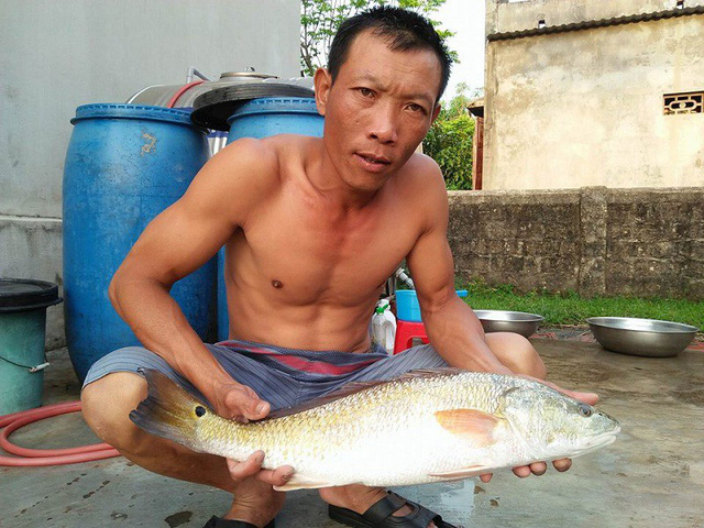 quang-binh-ngu-dan-bat-duoc-ca-la-35kg-nghi-ca-su-vang-quy-hiem
