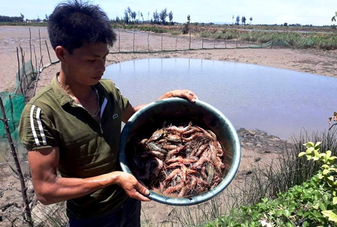nguyen-nhan-khien-hang-tram-ha-tom-su-nuoi-cua-nguoi-dan-thanh-hoa-chet-hang-loat
