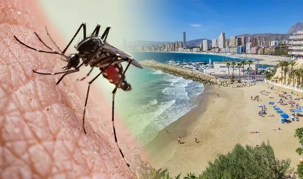 Bị muỗi đốt - kh&aacute;ch du lịch nhiễm vi r&uacute;t nguy hiểm