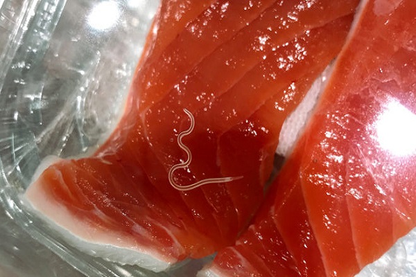 Th&ecirc;m bằng chứng về sự gia tăng lớn của giun k&yacute; sinh trong c&aacute;c m&oacute;n hải sản sống
