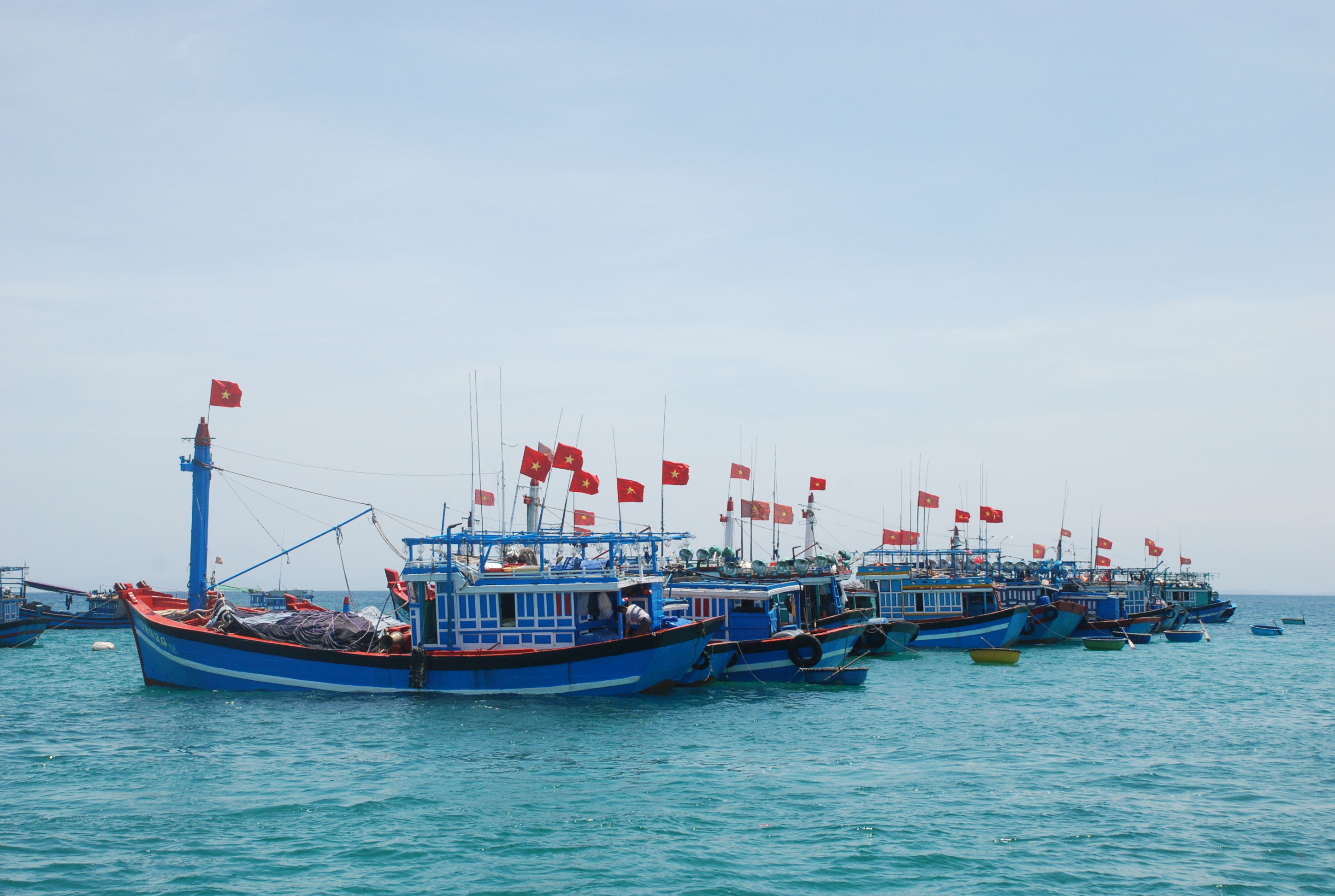 Đ&aacute;nh bắt c&aacute; Quảng Ng&atilde;i