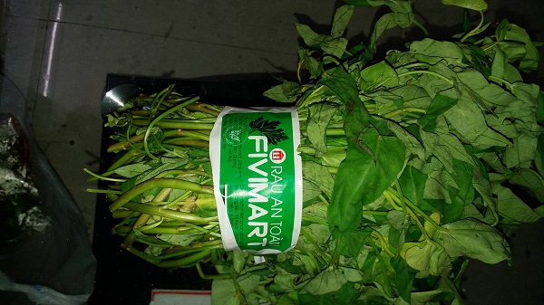 Kh&aacute;ch tố Fivimart Tr&uacute;c Kh&ecirc; 