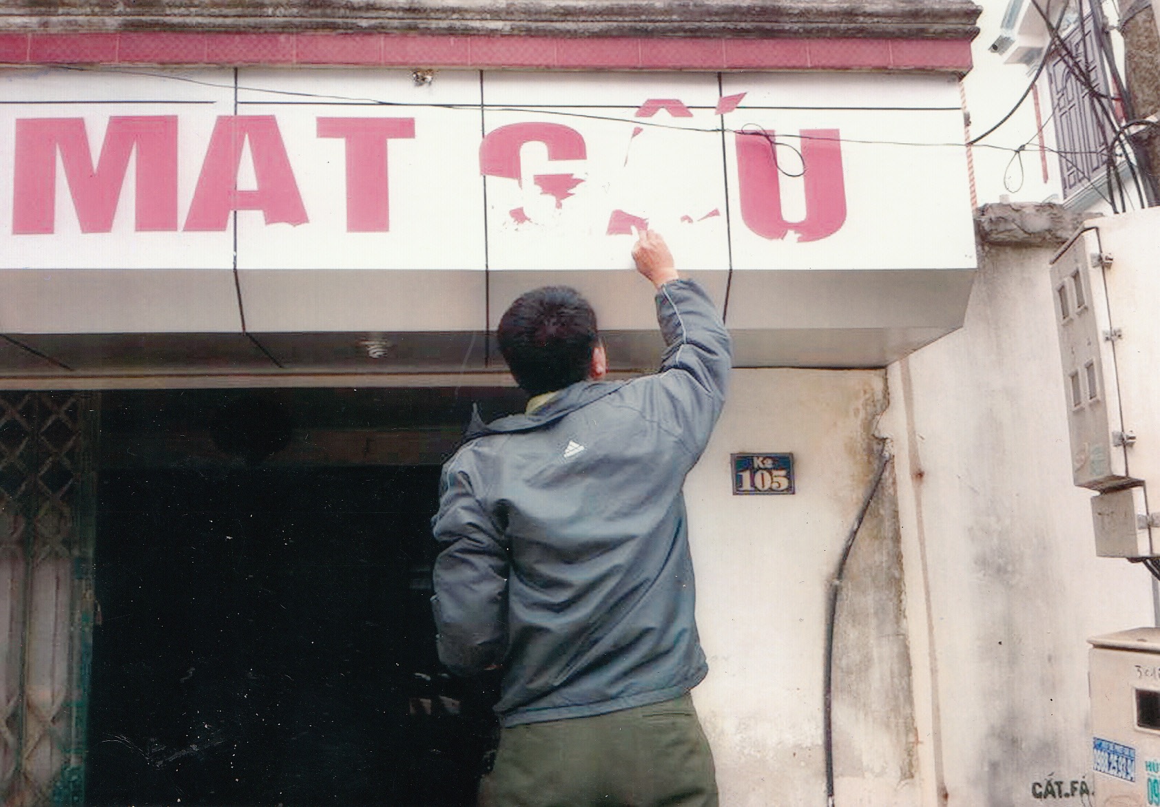Người Việt đ&atilde; &iacute;t tin v&agrave;o mật gấu