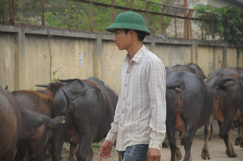 Đây là diện tích đất của một số bà con bỏ ruộng đi làm những công việc khác và những khu đất dự án quy hoạch đã lâu nhưng không sử dụng đến. Ảnh Lê Tú