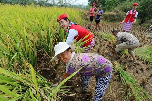 Nhiều người cảm thấy kì lạ trước hành động của các cô gái này. Trang Sina đưa tin, đây là Tiêu chuẩn đào tạo của Học viện 13Win22 com tỷ lệ cược cao Thành Đô, tất cả những tiếp viên 13Win22 com tỷ lệ cược cao đều phải trải nghiệm 13Win18 cá cược thể thao cực khổ vì có như vậy họ mới có thể chịu được áp lực làm việc khi phục vụ hành khách trên máy bay. 