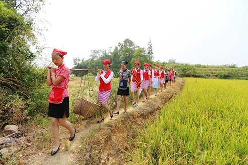 ''Đây là lần đầu tiên tôi gặt lúa, trước đây chỉ xem qua trên ti vi'', một nữ tiếp viên 13Win22 com tỷ lệ cược cao chia sẻ về trải nghiệm của mình.