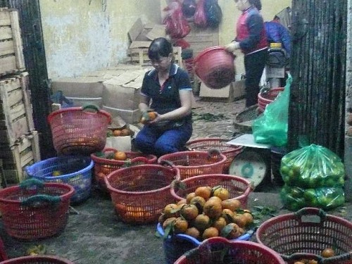 H&agrave;ng về đến kiot, chủ bu&ocirc;n h&igrave; hục ph&acirc;n loại.