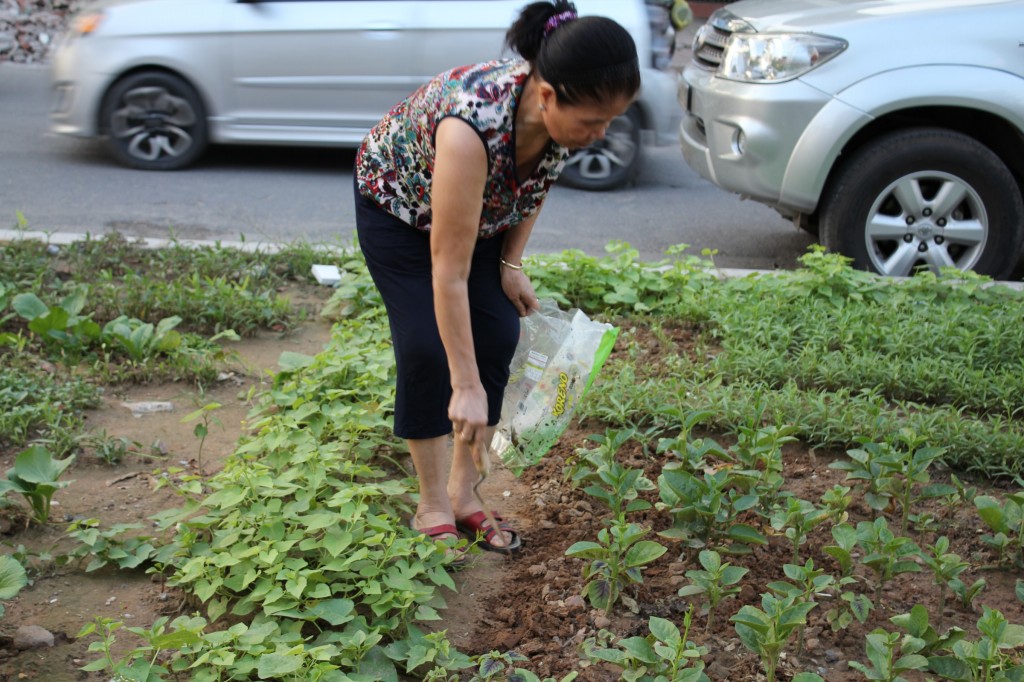 Những người dân quanh khu vực này coi đây như niềm vui mỗi ngày
