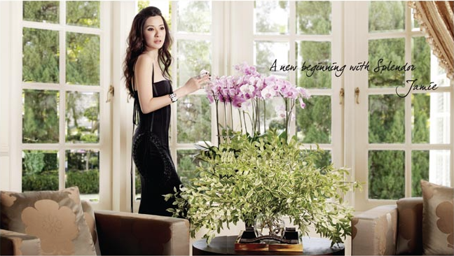 Giải thích cho yêu cầu được chu cấp số tiền 9 tỷ/tháng của mình, Jamie đã liệt kê những hạng mục chi tiêu của bản thân, trong đó bao gồm ăn ở tại những khách sạn cao cấp, đi châu Âu shopping, chỉ riêng tiền vé máy bay hạng nhất của cô đã tốn hết 20.000 đô-la Mỹ một tháng. 