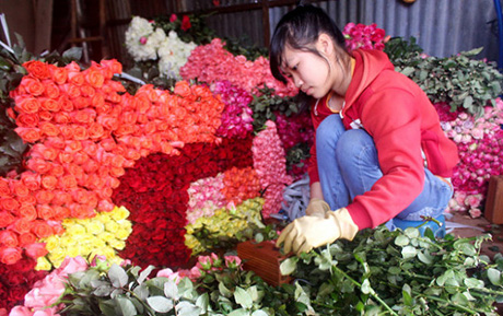Lựa chọn loại hoa ph&ugrave; hợp l&agrave; kh&acirc;u quan trọng trong việc l&ecirc;n &yacute; tưởng kinh doanh ng&agrave;y 8/3