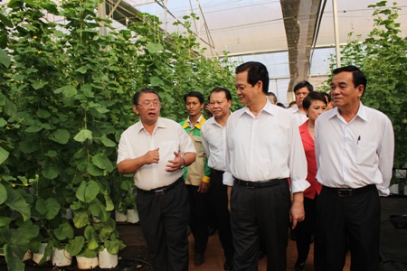 Chương trình năng suất chất lượng được triển khai tại Đồng Nai