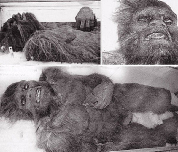 Người Tuyết Yeti c&oacute; nguồn gốc từ thời cổ đại