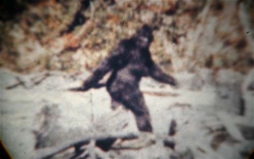 B&iacute; ẩn Người Tuyết Yeti được khoa học giải m&atilde; 