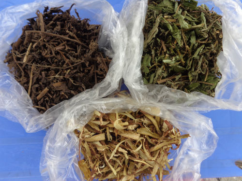Nguy&ecirc;n liệu tr&agrave; nh&acirc;n trần dễ mua